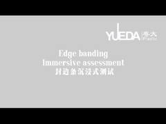 Immersive assessment