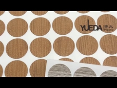 Συλλογή κάλυψεων PVC Screw Sticker